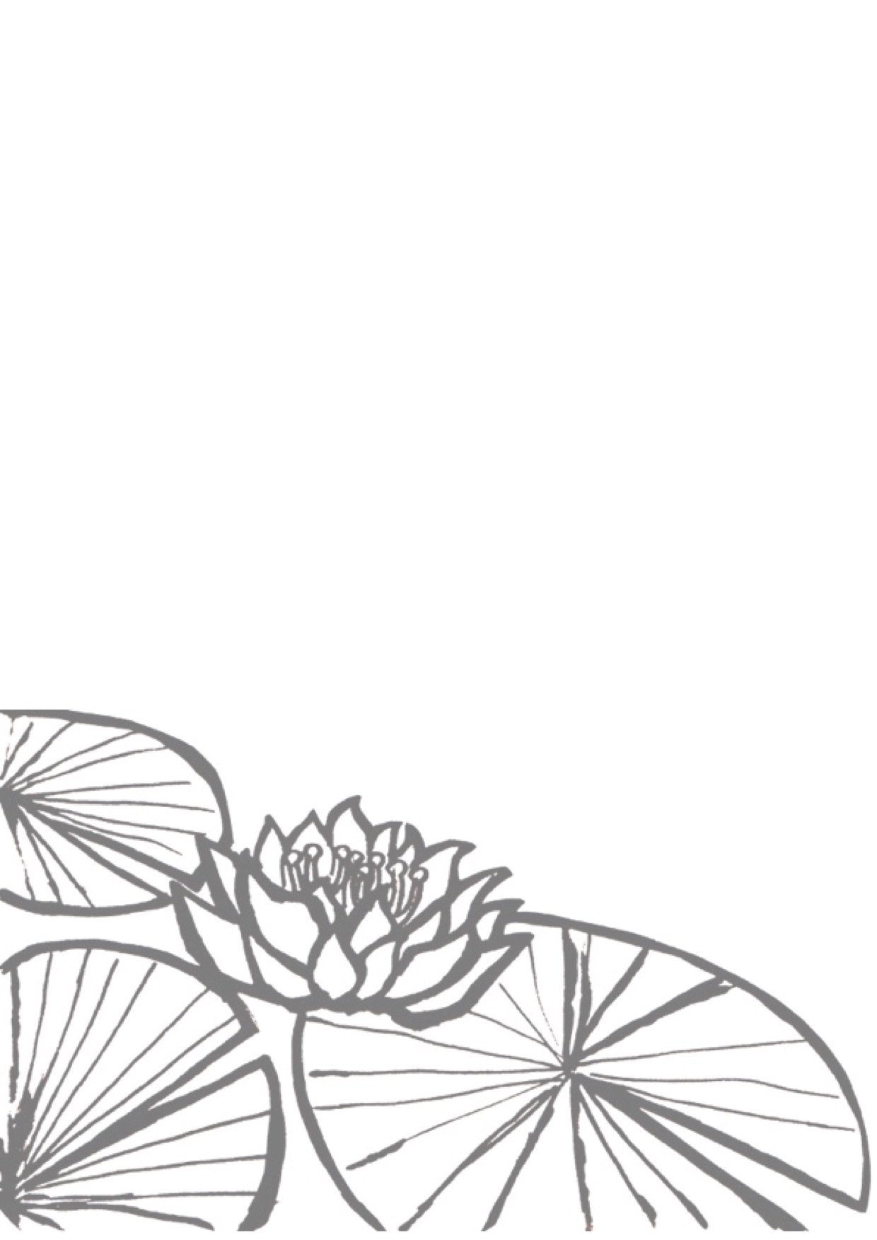 蓮の花 白黒 アジアン フライヤー用イラスト