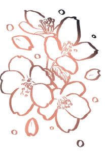 『桜・sakura』フリー素材　フライヤー用イラスト