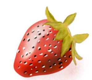 苺・strawberry