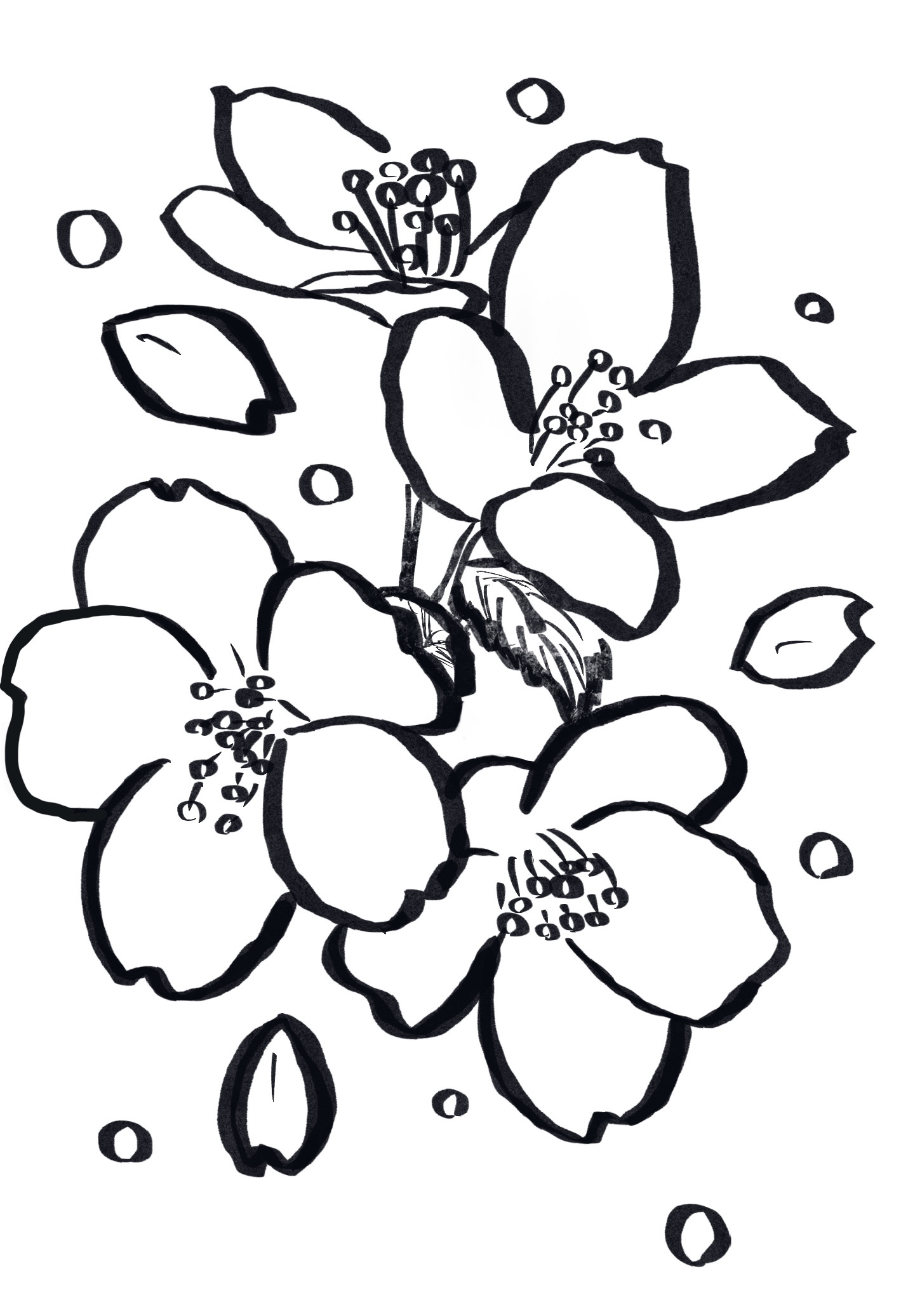 『桜・sakura』フリー素材　フライヤー用白黒イラスト